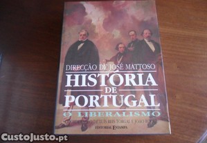 imagem_6