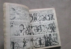 imagem_4