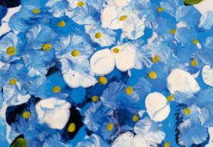 imagem_3