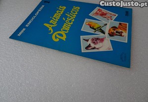 imagem_2