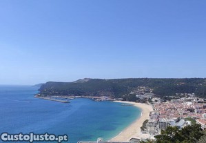 imagem_12