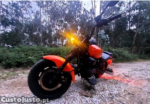 imagem_3