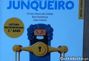 imagem_1