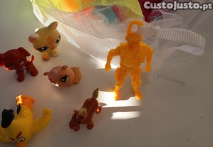 imagem_1
