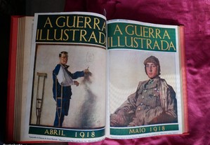 imagem_8