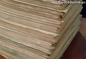 imagem_5