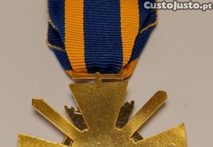 imagem_7