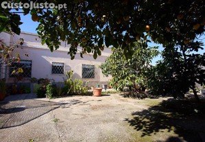 imagem_26