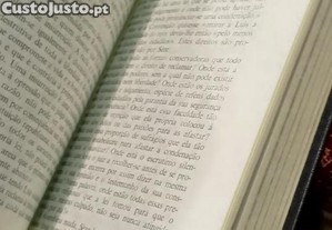 imagem_7