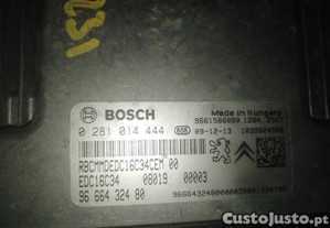 imagem_1