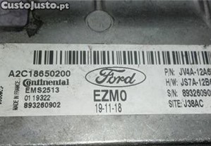 imagem_1