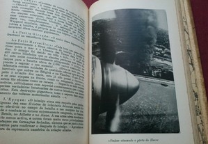 imagem_4