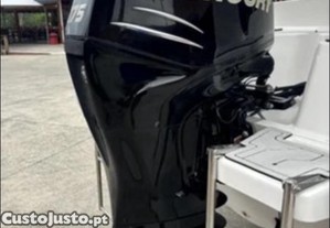 Mercury Verado de 175hp com 200h