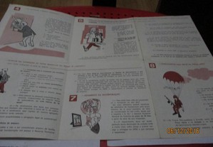 imagem_3