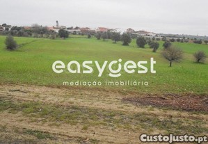 imagem_11