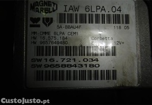 imagem_3