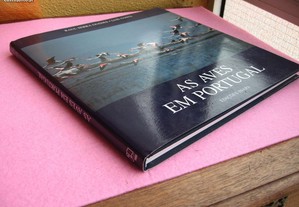 imagem_8