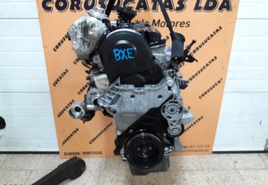 motor 1.9 tdi bxe 105 cv 153-s33 7v VDD