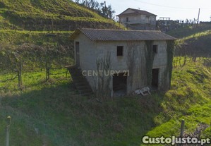 imagem_11