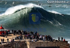 imagem_18