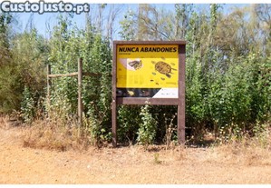 imagem_33