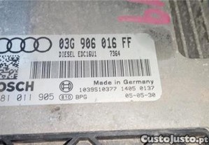 imagem_1