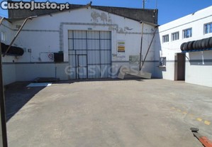 imagem_13
