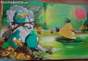 imagem_6
