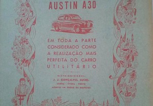 imagem_8