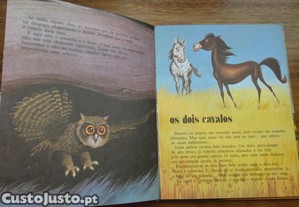 imagem_6