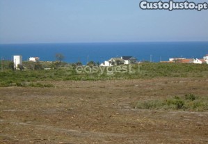imagem_17