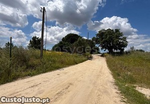 imagem_9