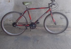 Bicicleta roda 26