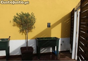 imagem_33