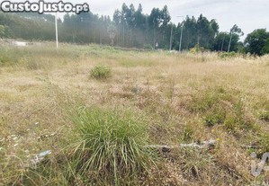 imagem_9