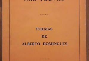 Livro - Relâmpago nas Trevas - Alberto Domingues