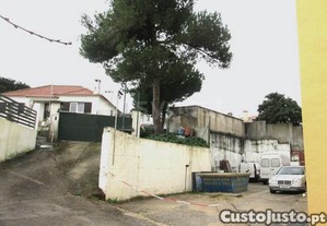 imagem_15