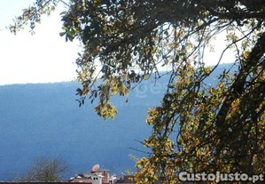 imagem_16