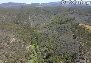 Terreno Rstico em Monchique com Vista para a Montanha