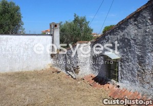 imagem_8
