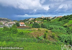 imagem_3