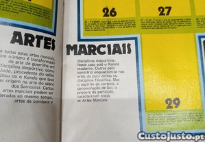imagem_2