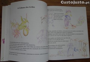 imagem_5