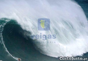imagem_19