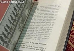 imagem_8