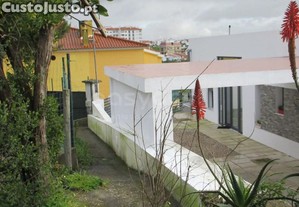 imagem_11