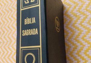 BÍBLIA SAGRADA - Versão dos textos originais Difusora Bíblica