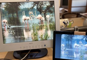 Monitor LCD HP2025 com ecrã de 20.1