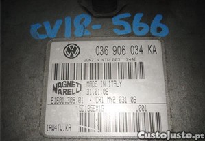 imagem_1
