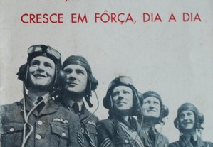 imagem_2